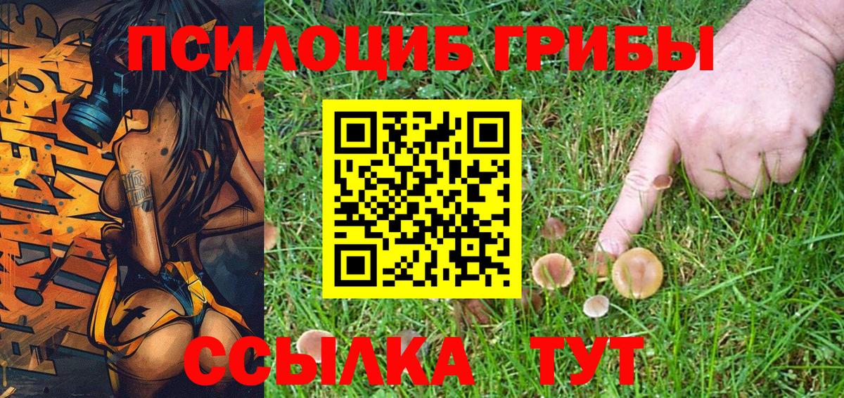 Галлюциногенные грибы Cubensis Феодосия